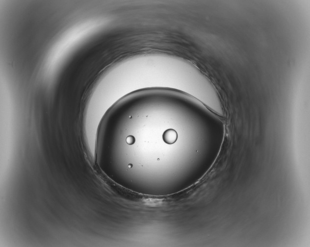 X0000086800052200704271858