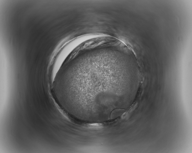 X0000086800053200704271858