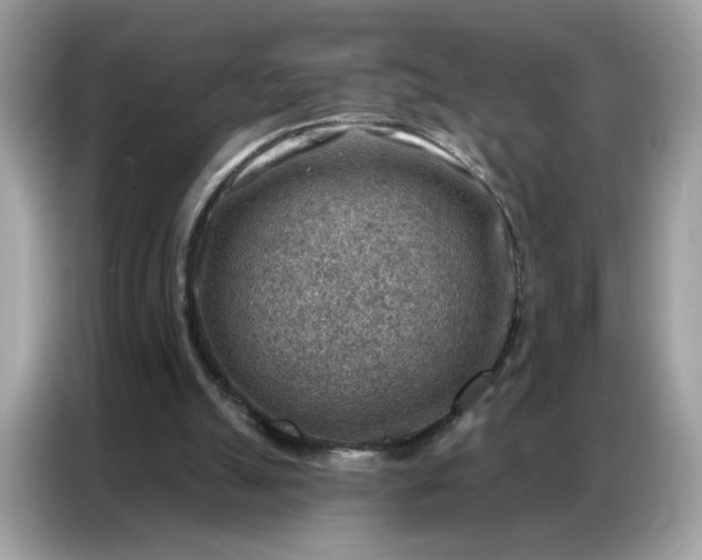 X0000086800055200704271858