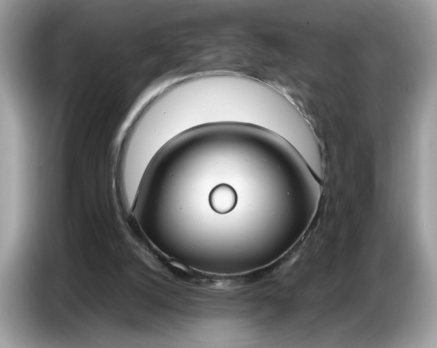 X0000086800056200704271858