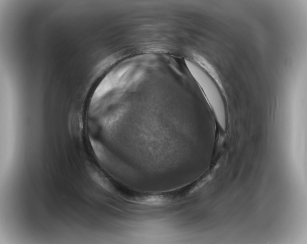 X0000086800059200704271858