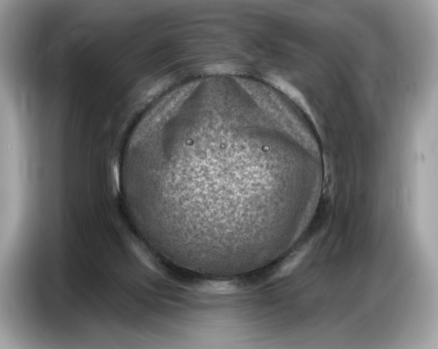 X0000086800061200704271858