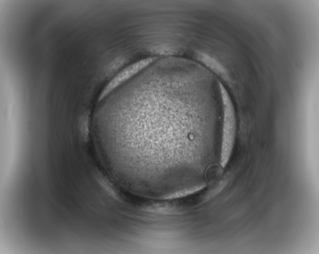 X0000086800065200704271858