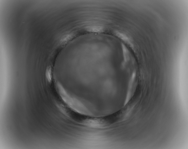 X0000086800069200704271858