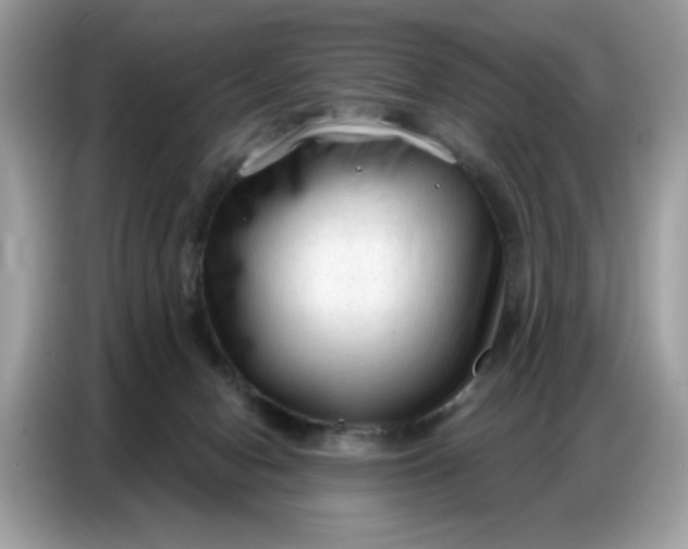 X0000086800078200704271858