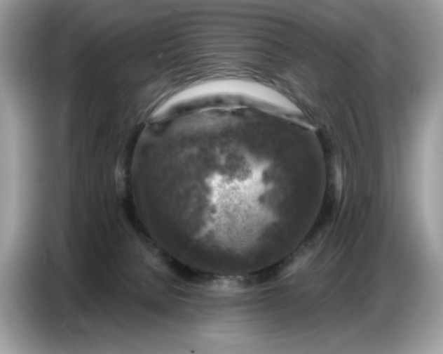 X0000086800080200704271858