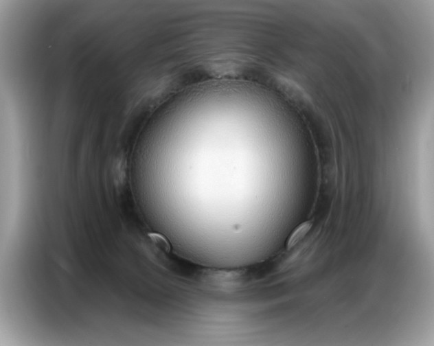 X0000086800081200704271858