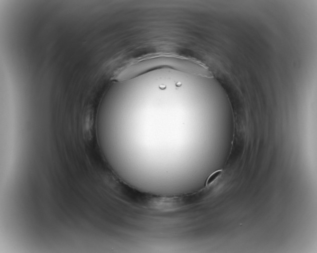 X0000086800082200704271858