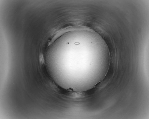 X0000086800089200704271859