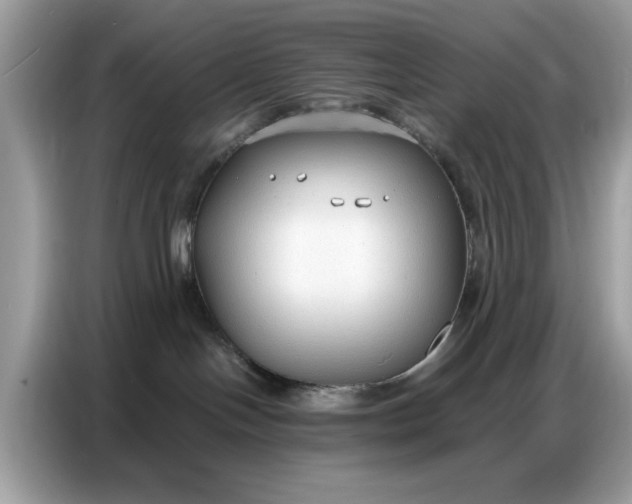 X0000086800094200704271859