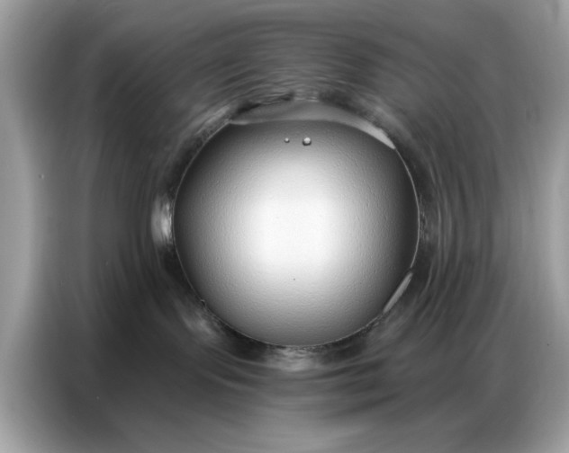 X0000086800095200704271859