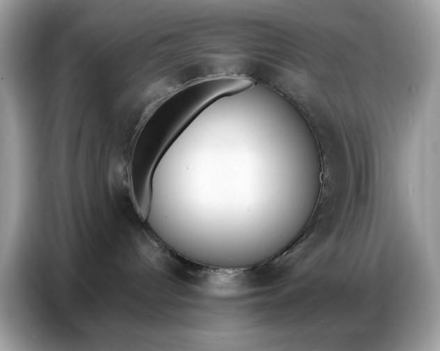 X0000086800096200704271859