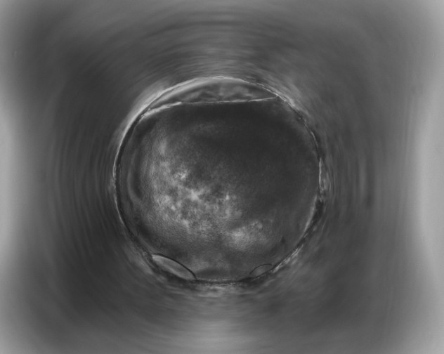 X0000086800099200704271858