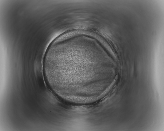 X0000086800100200704271858