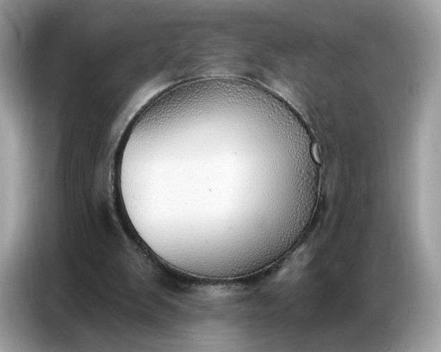 X0000086800103200704271858