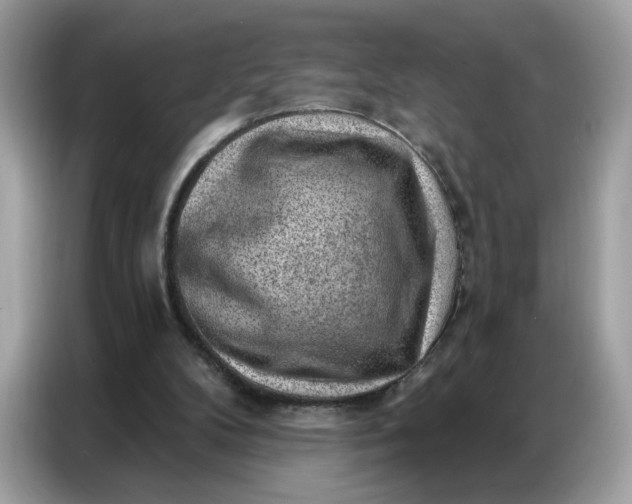 X0000086800104200704271858