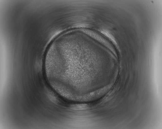 X0000086800108200704271858