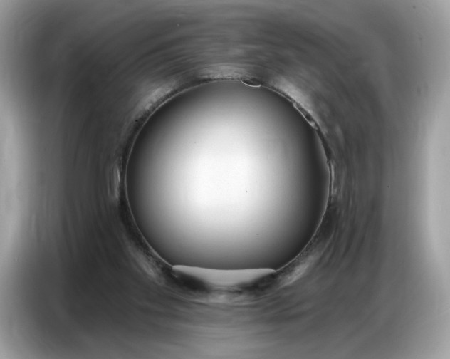 X0000086800109200704271858