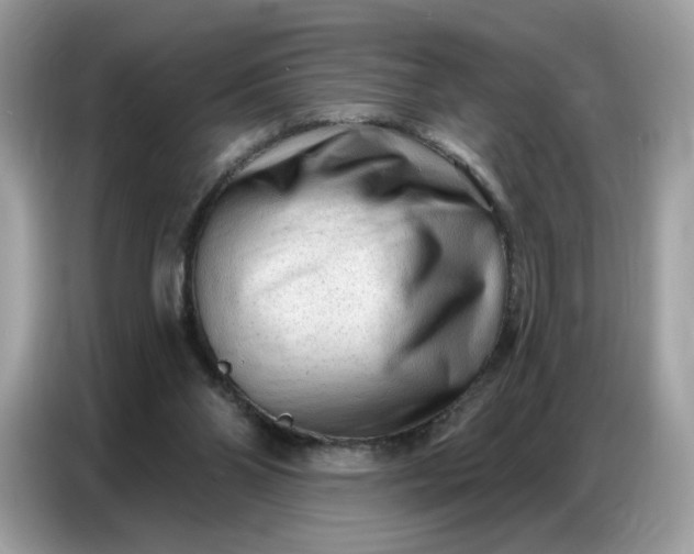 X0000086800110200704271858