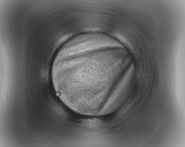 X0000086800112200704271858