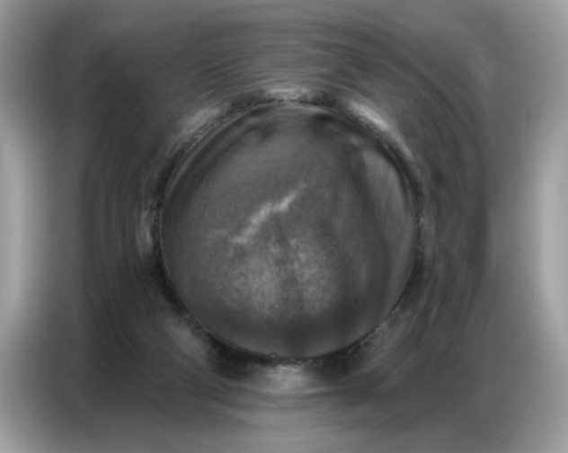 X0000086800114200704271858