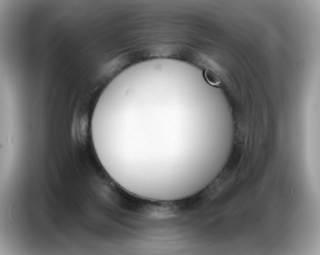 X0000086800118200704271858