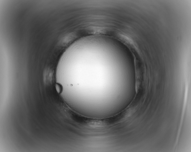 X0000086800123200704271858