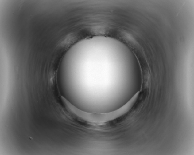 X0000086800125200704271858