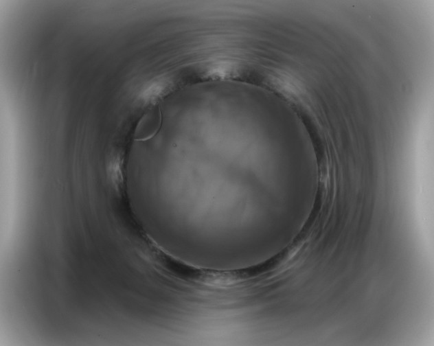 X0000086800127200704271858