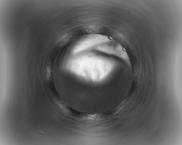 X0000086800130200704271858