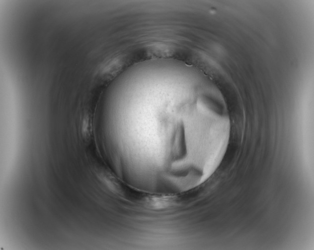 X0000086800134200704271858