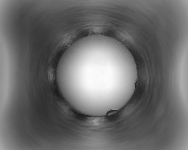 X0000086800135200704271858