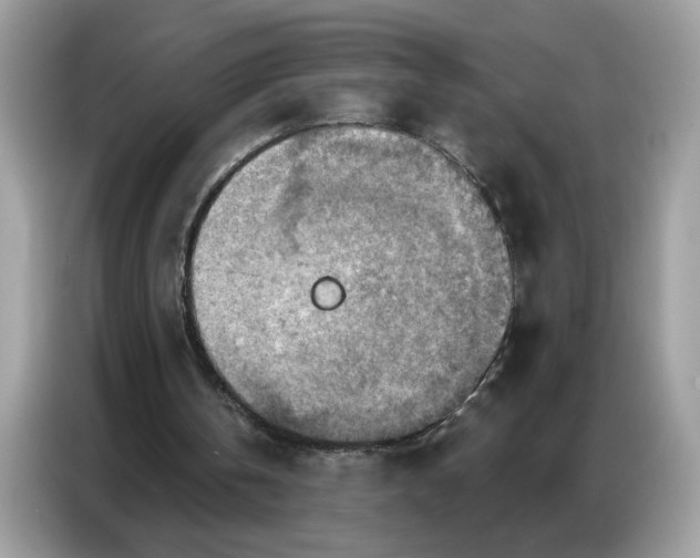 X0000086800146200704271857