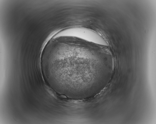 X0000086800147200704271857