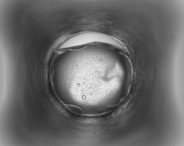 X0000086800149200704271857