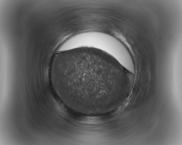 X0000086800154200704271857