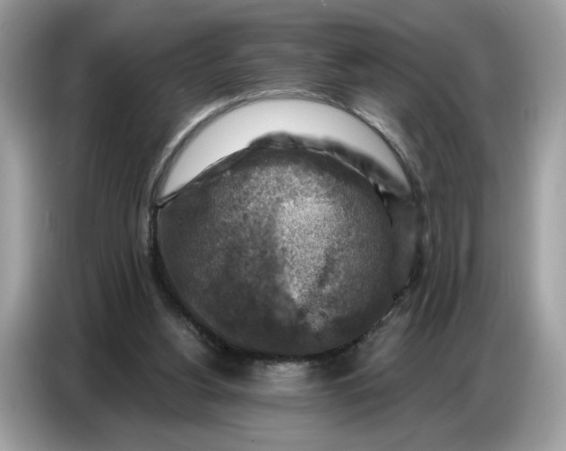 X0000086800156200704271857