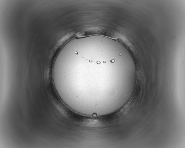 X0000086800159200704271857