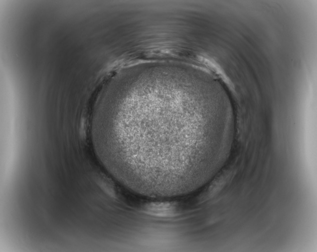 X0000086800161200704271857