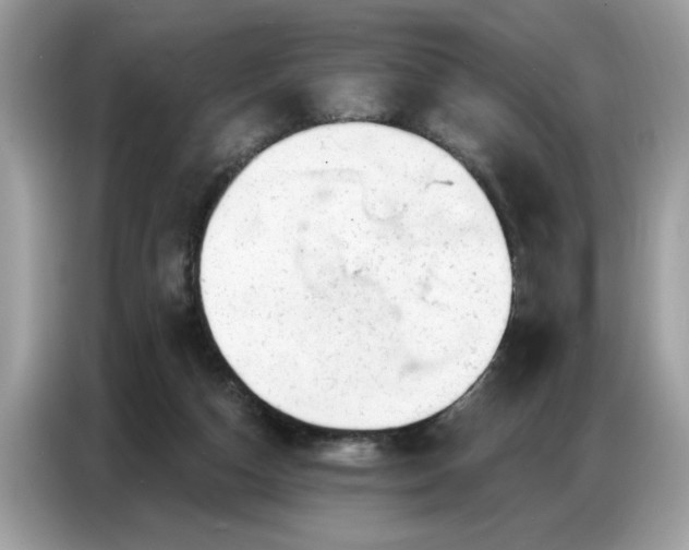 X0000086800162200704271857