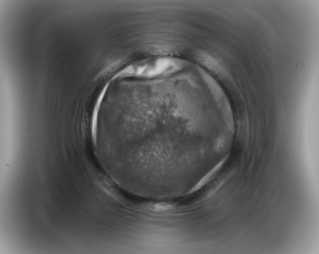 X0000086800165200704271857