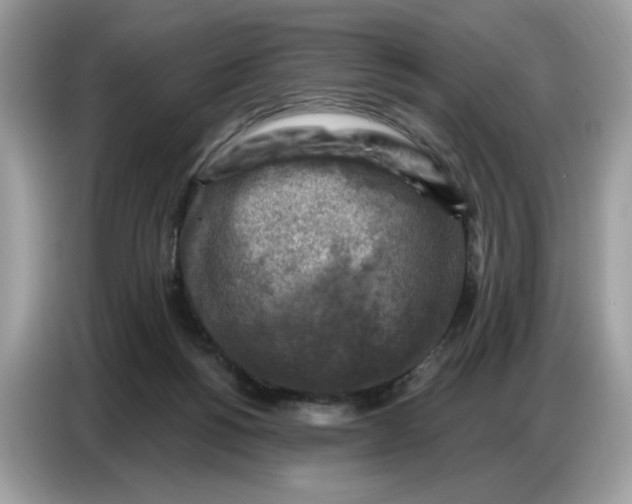 X0000086800168200704271857