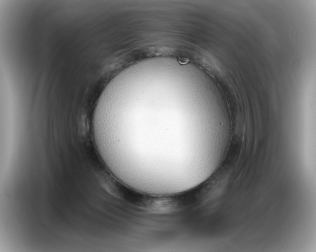 X0000086800173200704271857