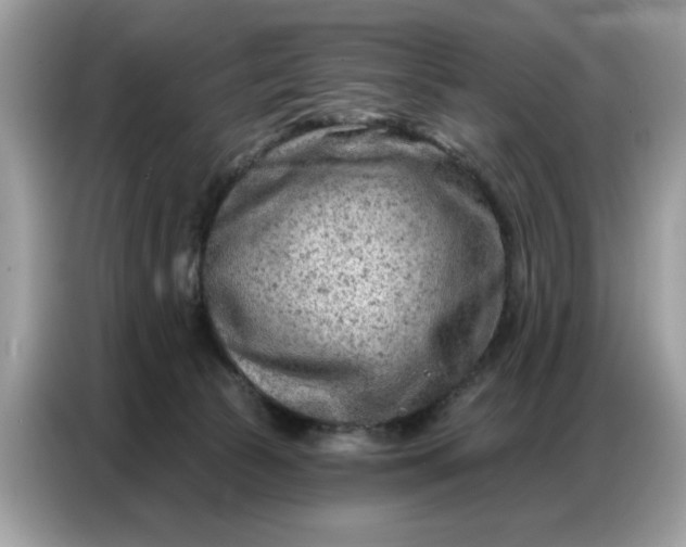 X0000086800177200704271857