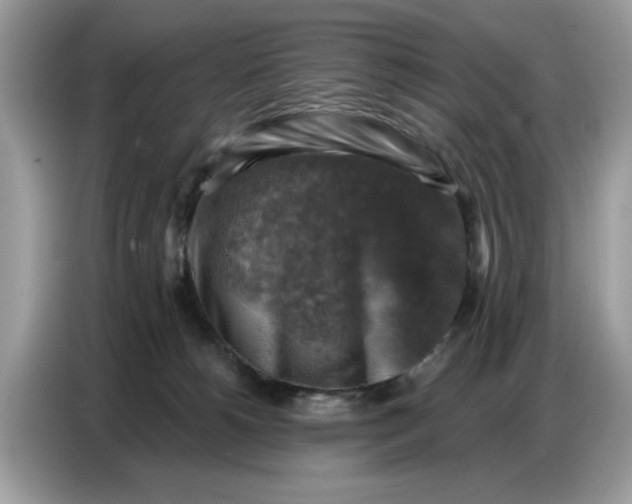 X0000086800180200704271857