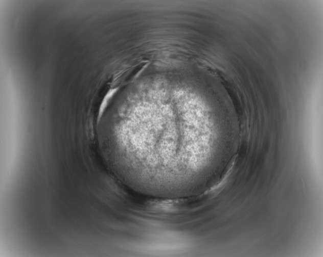 X0000086800182200704271857