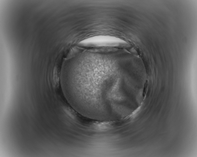 X0000086800186200704271857