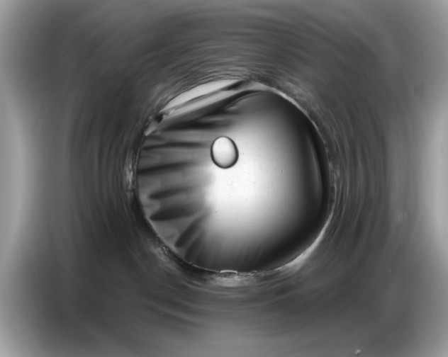 X0000086800190200704271857