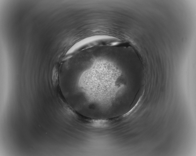 X0000086800192200704271857