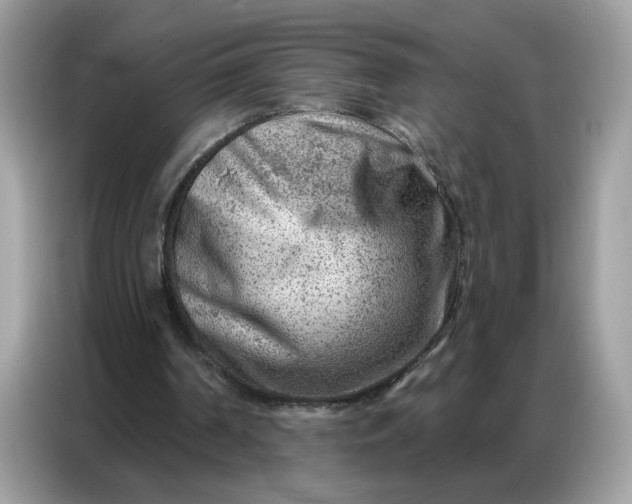 X0000086800194200704271857